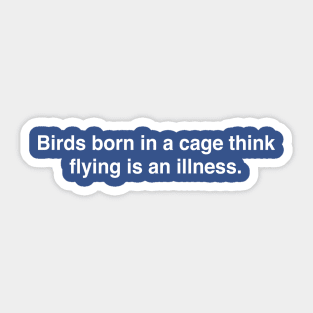 Birds Born in a Cage Sticker